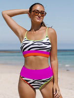 Wild Zebra Bikini Set