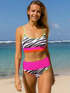 Wild Zebra Bikini Set