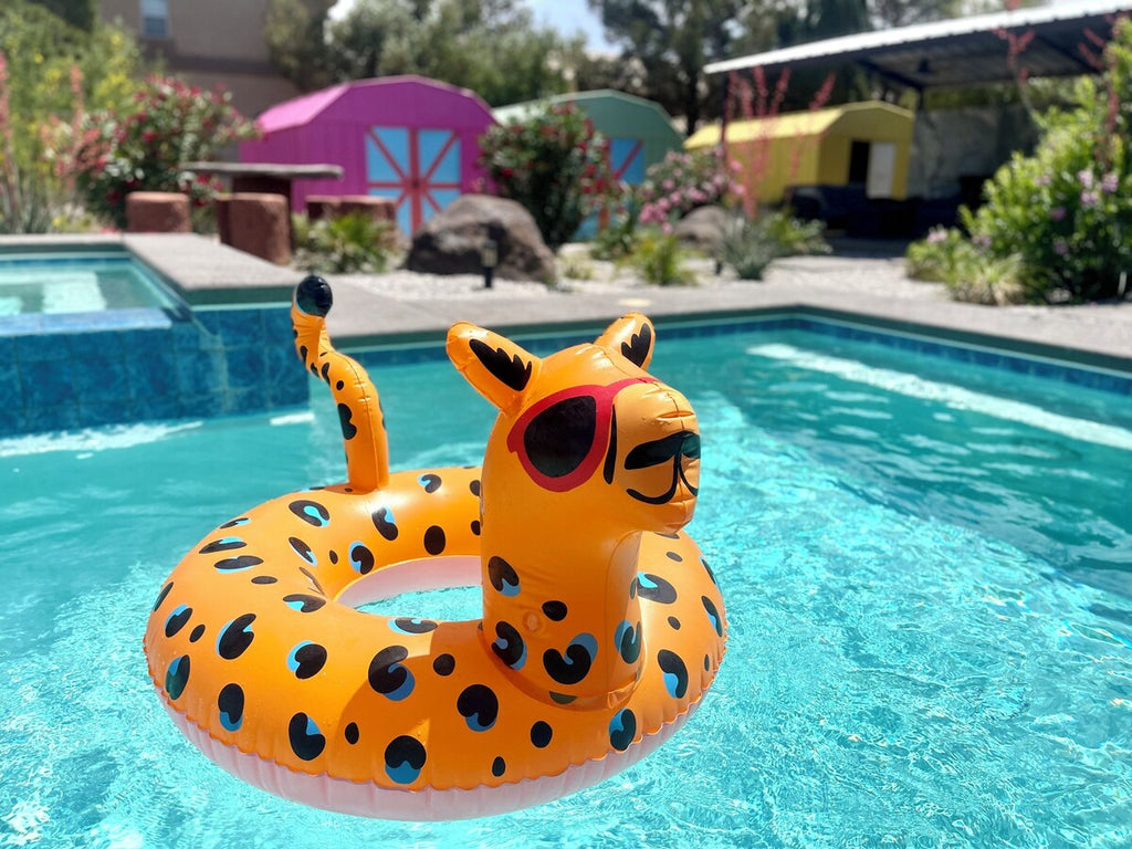 shop fancy pool floats online in india - beach company online india - cheetah leopard safari india